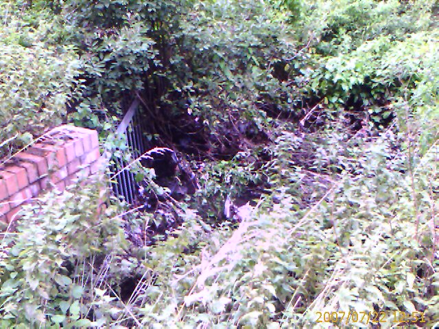 Outfall of Pill Ditch culvert, 22 July 2007